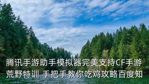 腾讯手游助手模拟器完美支持CF手游荒野特训 手把手教你吃鸡攻略百度知