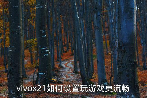 vivox21如何设置玩游戏更流畅