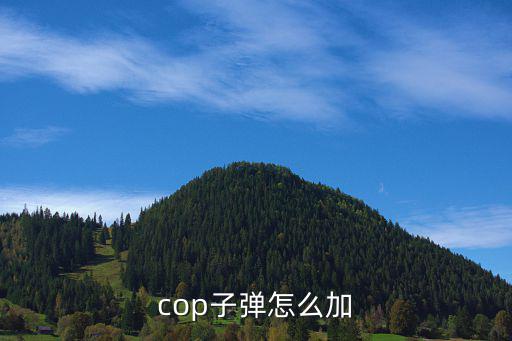 cop子弹怎么加