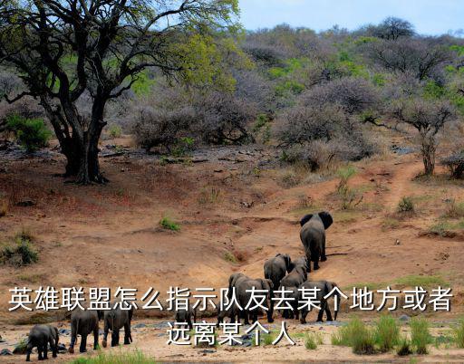 英雄联盟怎么指示队友去某个地方或者远离某个人