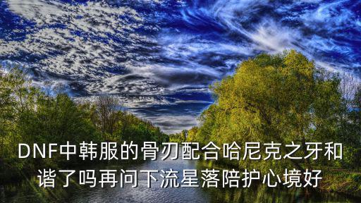 DNF中韩服的骨刃配合哈尼克之牙和谐了吗再问下流星落陪护心境好