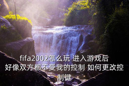 fifa2002怎么玩 进入游戏后好像双方都不受我的控制 如何更改控制键