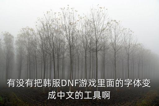 有没有把韩服DNF游戏里面的字体变成中文的工具啊