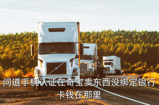 问道手机认证在奇宝卖东西没绑定银行卡钱在那里