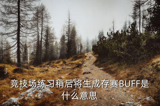 竞技场练习稍后将生成存赛BUFF是什么意思