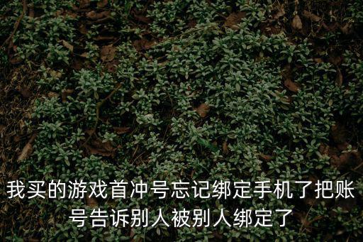 我买的游戏首冲号忘记绑定手机了把账号告诉别人被别人绑定了