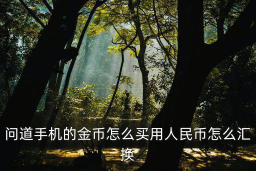 问道手机的金币怎么买用人民币怎么汇换