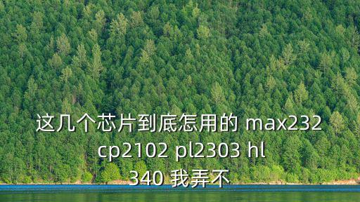 这几个芯片到底怎用的 max232 cp2102 pl2303 hl340 我弄不