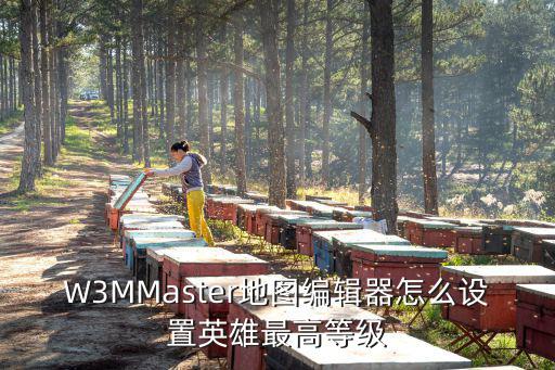 W3MMaster地图编辑器怎么设置英雄最高等级