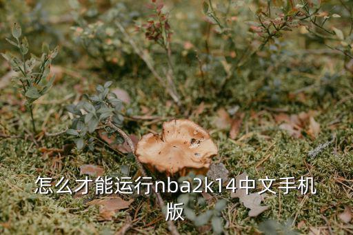 怎么才能运行nba2k14中文手机版