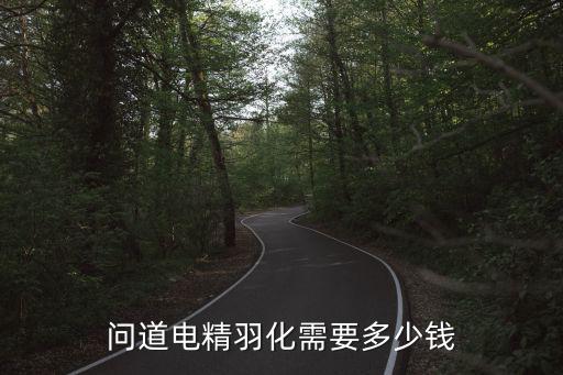 问道电精羽化需要多少钱