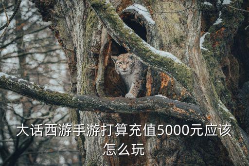 大话西游手游打算充值5000元应该怎么玩