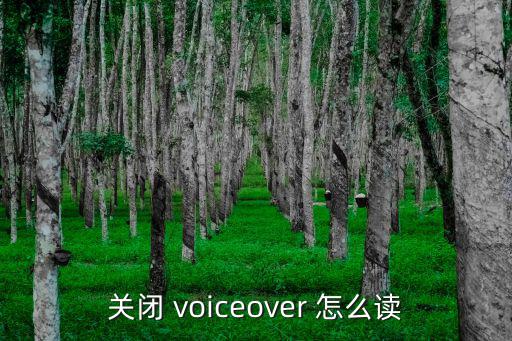 关闭 voiceover 怎么读