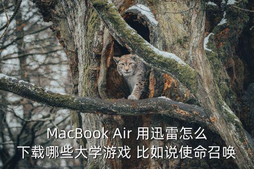 mac怎么下cod手游，苹果mac系统能玩使命召唤或者战地3么