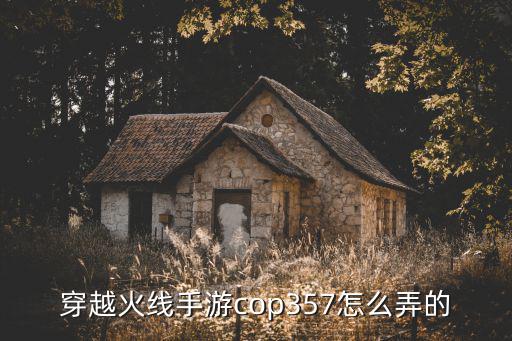 穿越火线手游cop357怎么弄的