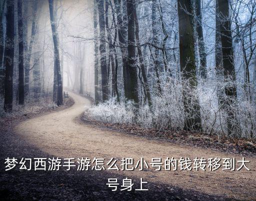 梦幻手游怎么转宝宝给大号，梦幻西游手游怎么把小号的钱转移到大号身上