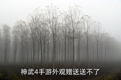 神武4手游外观赠送送不了