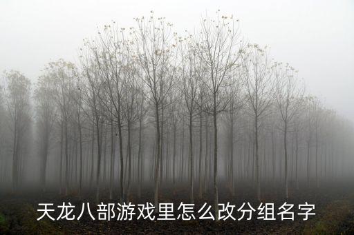 天龙八部游戏里怎么改分组名字