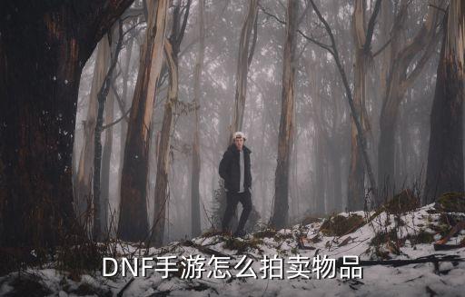 DNF手游怎么拍卖物品