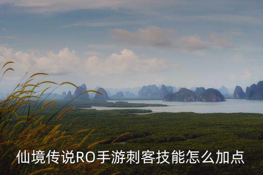 仙境传说RO手游刺客技能怎么加点