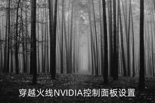 穿越火线NVIDIA控制面板设置