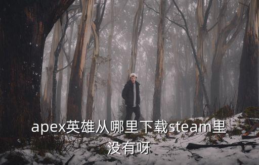 apex英雄从哪里下载steam里没有呀