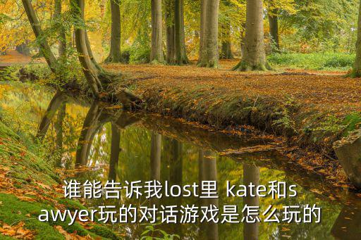 谁能告诉我lost里 kate和sawyer玩的对话游戏是怎么玩的