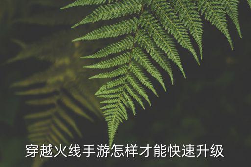 穿越火线手游怎样才能快速升级