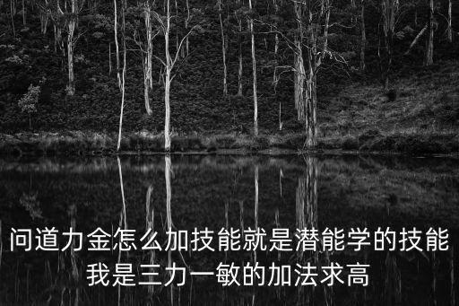 问道力金怎么加技能就是潜能学的技能我是三力一敏的加法求高