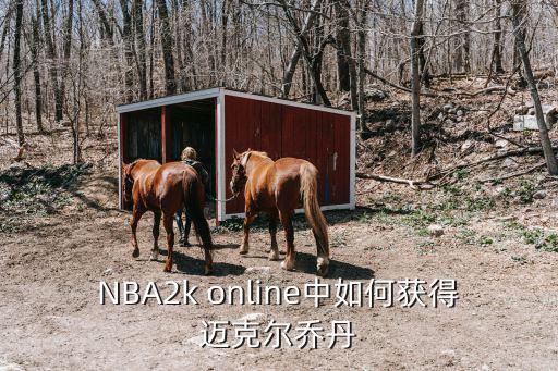 NBA2k online中如何获得迈克尔乔丹