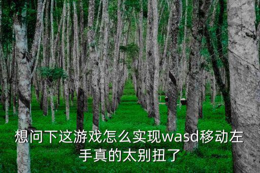 想问下这游戏怎么实现wasd移动左手真的太别扭了