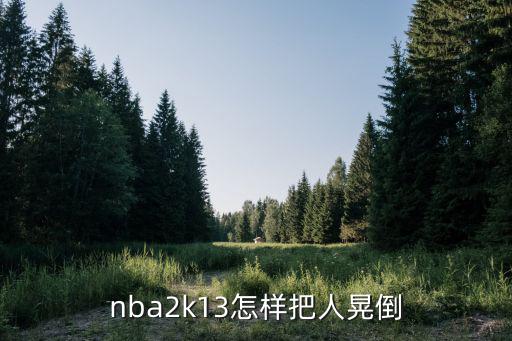 nba2k13怎样把人晃倒