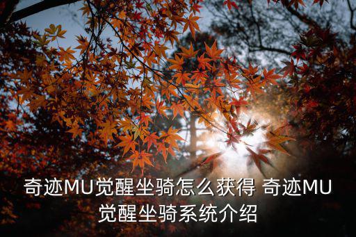 奇迹MU觉醒坐骑怎么获得 奇迹MU觉醒坐骑系统介绍