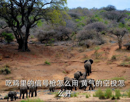 吃鸡手游怎么进入空投基地，吃鸡里的信号枪怎么用 黄气的空投怎么开