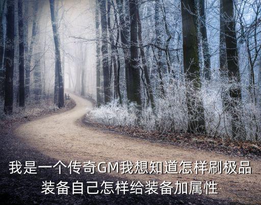 我是一个传奇GM我想知道怎样刷极品装备自己怎样给装备加属性