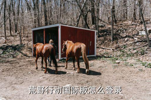 荒野行动国际版怎么登录