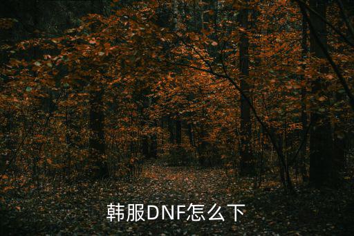 韩服DNF怎么下