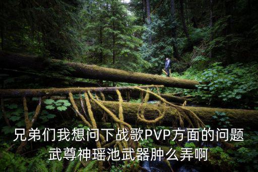 兄弟们我想问下战歌PVP方面的问题武尊神瑶池武器肿么弄啊