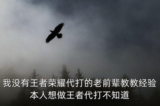 我没有王者荣耀代打的老前辈教教经验本人想做王者代打不知道