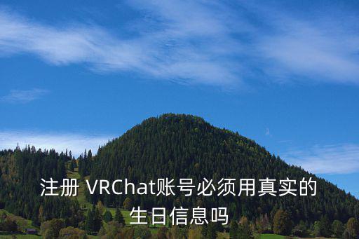 注册 VRChat账号必须用真实的生日信息吗