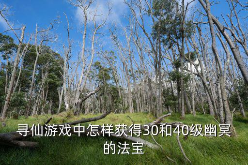 寻仙游戏中怎样获得30和40级幽冥的法宝