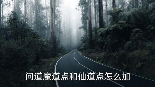 问道魔道点和仙道点怎么加