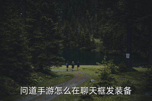 问道手游怎么在聊天框发装备