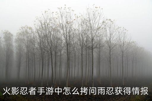 火影忍者手游中怎么拷问雨忍获得情报