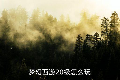 梦幻西游20级怎么玩