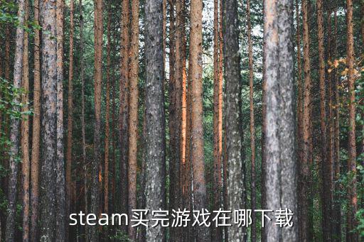 steam买完游戏在哪下载