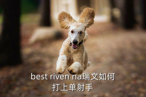 英雄联盟手游赛娜怎么打射手，best riven na瑞文如何打上单射手