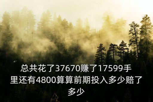 总共花了37670赚了17599手里还有4800算算前期投入多少赔了多少