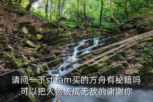 请问一下steam买的方舟有秘籍吗可以把人物该成无敌的谢谢你