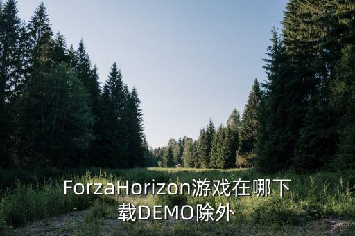 ForzaHorizon游戏在哪下载DEMO除外